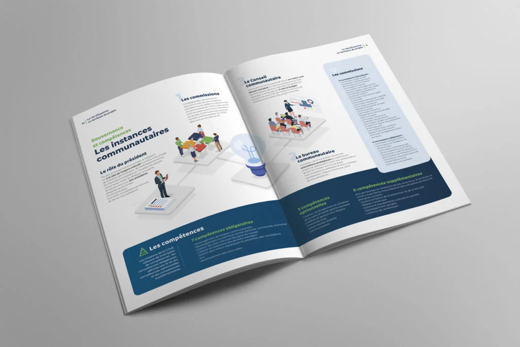communication collectivité territoriale rapport annuel