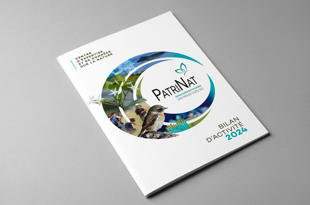 Rapport scientifique 1 Rapport scientifique