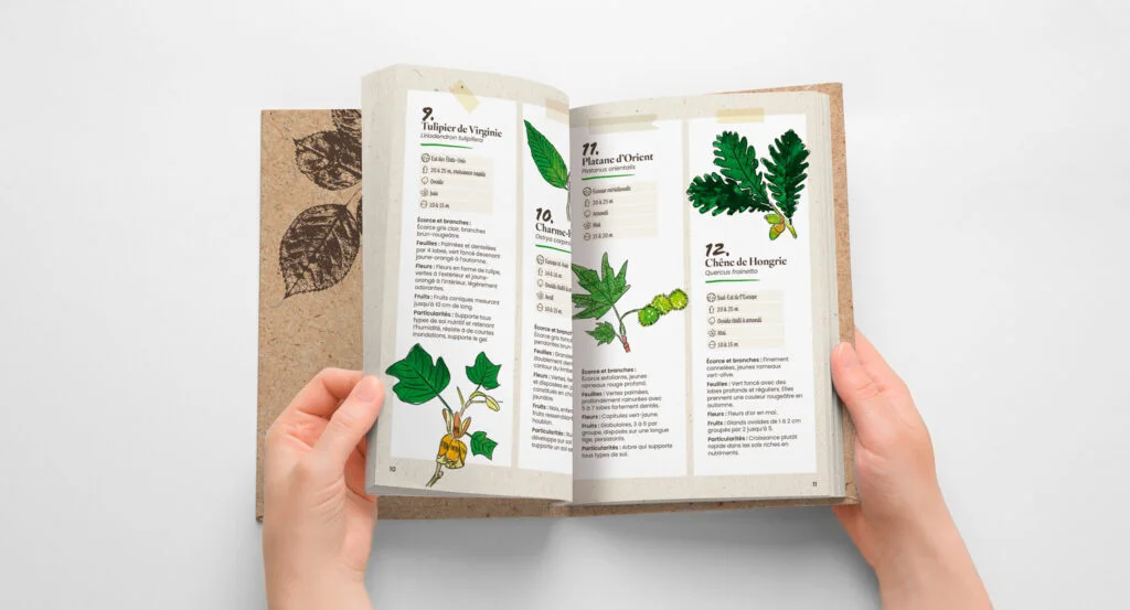 Guide illustré 5 Guide illustré Sartrouville herbier int1
