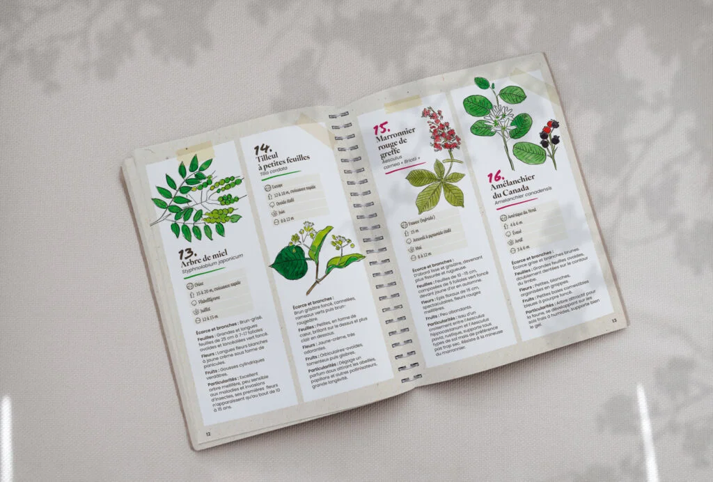 Guide illustré 3 Guide illustré Sartrouville herbier int2