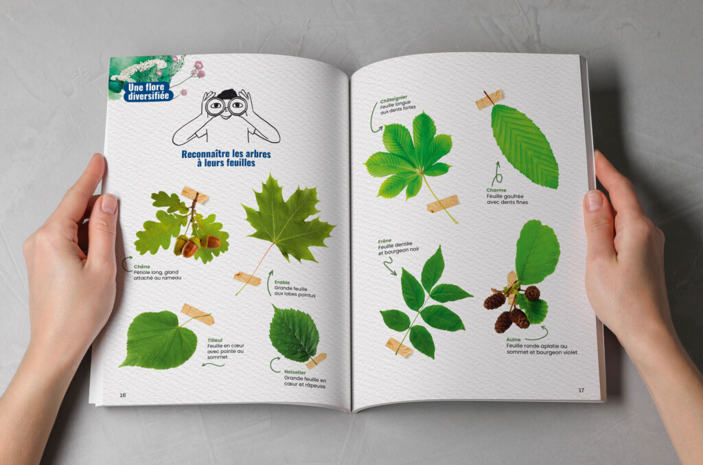 Atlas de la biodiversité Sevres int3