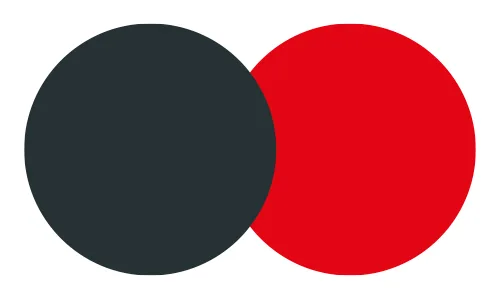 Identité visuelle 3 Identité visuelle couleurs